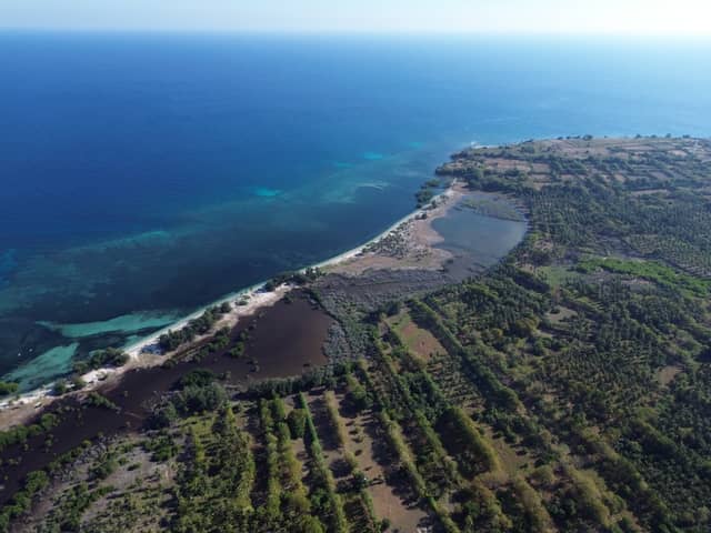 Lanskap Hutan & Pesisir Desa
